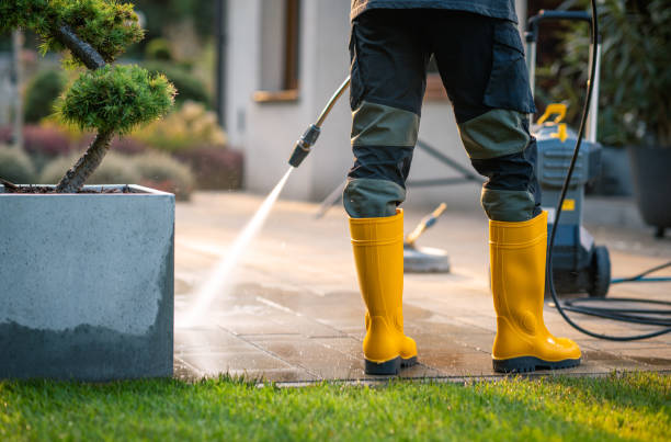 Best Affordable Pressure Washing  in Gladeview, FL